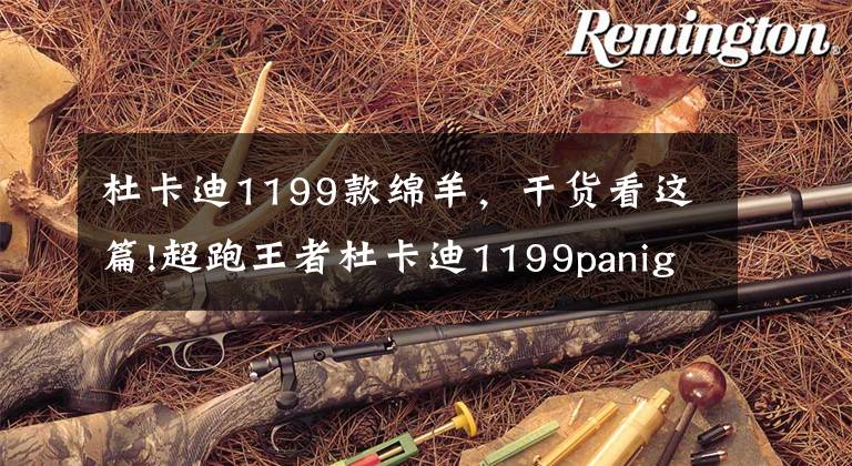 杜卡迪1199款绵羊，干货看这篇!超跑王者杜卡迪1199panigale，网友直呼太帅了