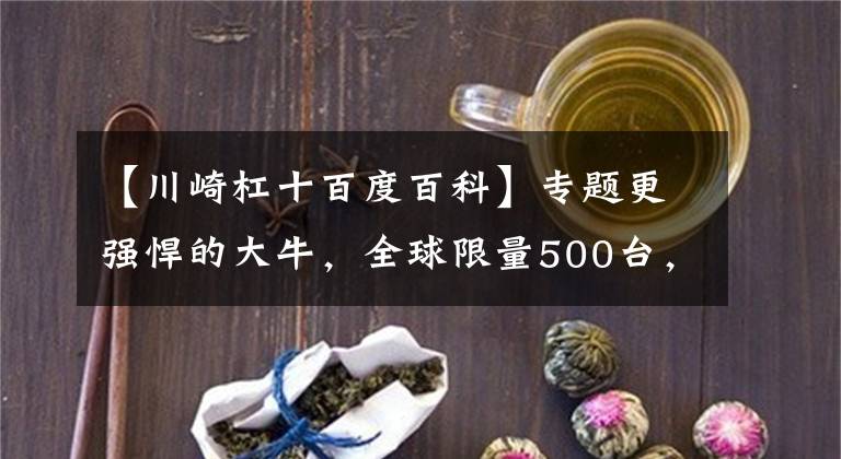 【川崎杠十百度百科】专题更强悍的大牛，全球限量500台，只为赛道而生，川崎ZX-10RR赛道版