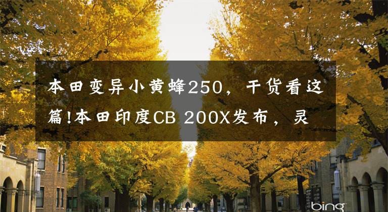 本田变异小黄蜂250，干货看这篇!本田印度CB 200X发布，灵感基于Hornet 2.0，配置类似高配版CB 190X