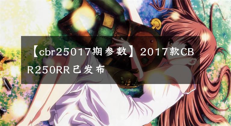 【cbr25017期参数】2017款CBR250RR已发布