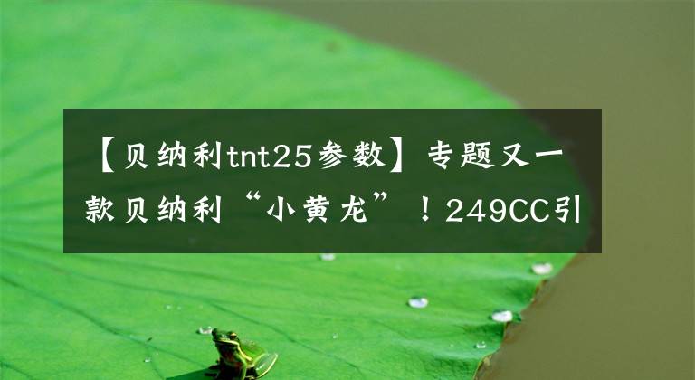 【贝纳利tnt25参数】专题又一款贝纳利“小黄龙”！249CC引擎+6速，续航500公里，1万多元