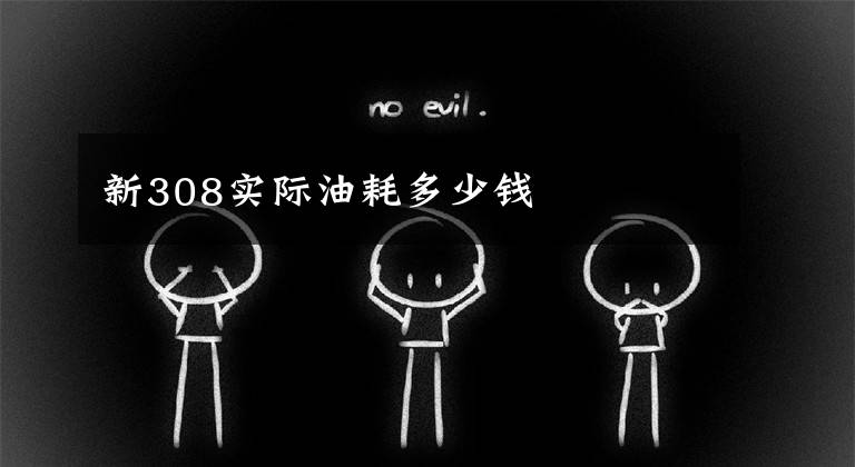 新308实际油耗多少钱