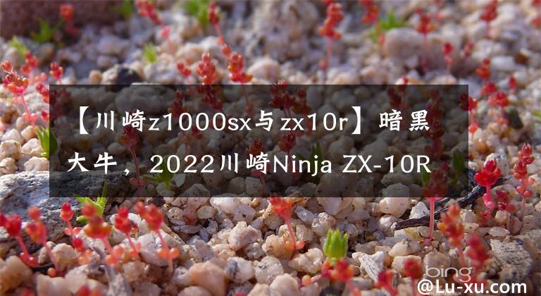 【川崎z1000sx与zx10r】暗黑大牛，2022川崎Ninja ZX-10R推出新配色
