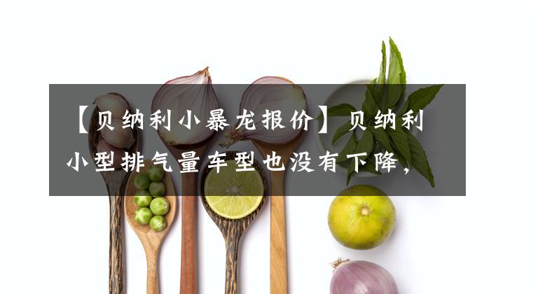 【贝纳利小暴龙报价】贝纳利小型排气量车型也没有下降，小型迅猛龙、红龙、霸王龙更新了2022号。