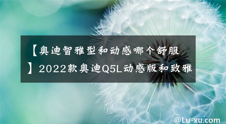 【奥迪智雅型和动感哪个舒服】2022款奥迪Q5L动感版和致雅版的区别
