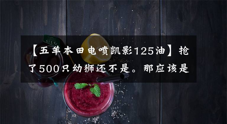 【五羊本田电喷凯影125油】抢了500只幼狮还不是。那应该是弯曲的横梁风向标。野心真大！