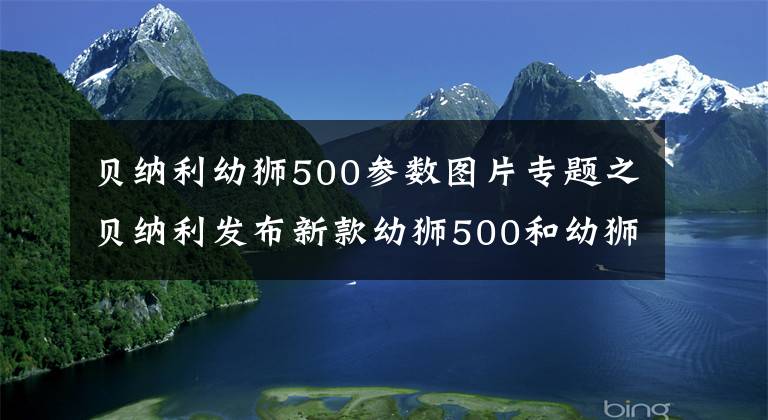 贝纳利幼狮500参数图片专题之贝纳利发布新款幼狮500和幼狮800，4.68万和5.98万