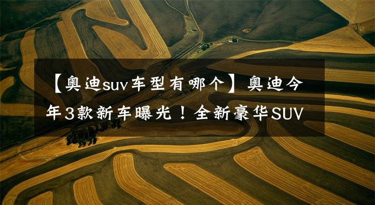 【奥迪suv车型有哪个】奥迪今年3款新车曝光！全新豪华SUV预计卖35万，还有Q5电动SUV