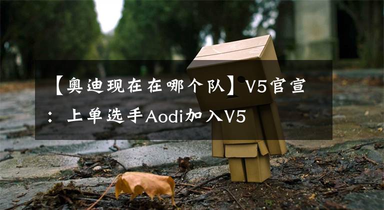 【奥迪现在在哪个队】V5官宣：上单选手Aodi加入V5
