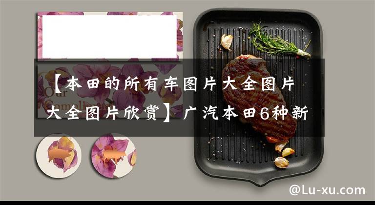 【本田的所有车图片大全图片大全图片欣赏】广汽本田6种新车曝光！新野阁9月开卖，《新思域》年末上市