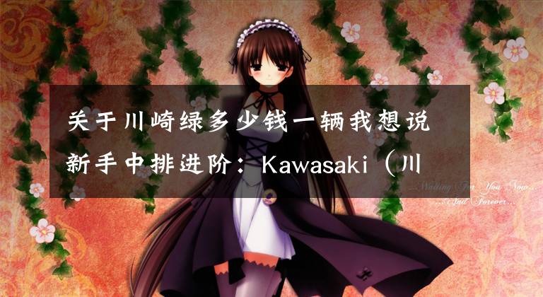 关于川崎绿多少钱一辆我想说新手中排进阶：Kawasaki（川崎）Ninjia 650 车型详解