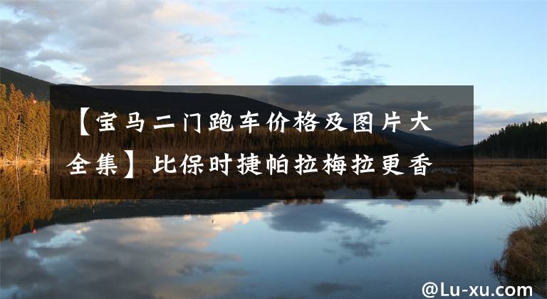 【宝马二门跑车价格及图片大全集】比保时捷帕拉梅拉更香！宝马新的双门跑车曝光，看着外观爱上了它。