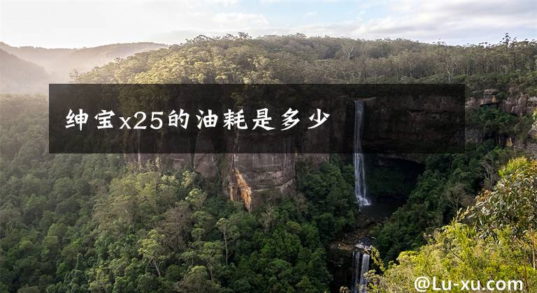 绅宝x25的油耗是多少