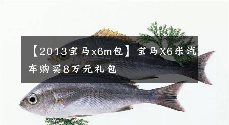 【2013宝马x6m包】宝马X6米汽车购买8万元礼包