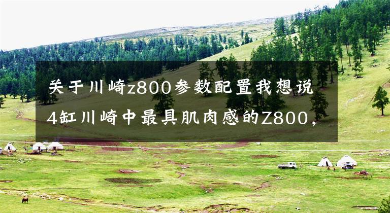 关于川崎z800参数配置我想说4缸川崎中最具肌肉感的Z800，车主活好又会拍照！