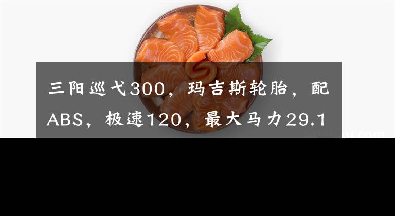 三阳巡弋300，玛吉斯轮胎，配ABS，极速120，最大马力29.1匹