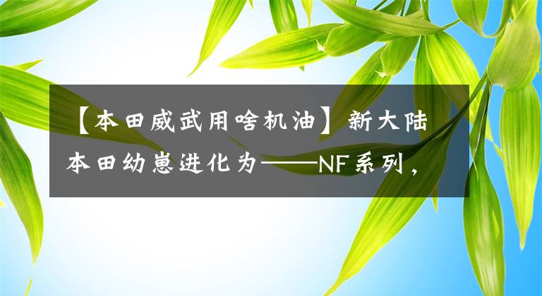 【本田威武用啥机油】新大陆本田幼崽进化为——NF系列，110位移比威武100曲梁节省9%。