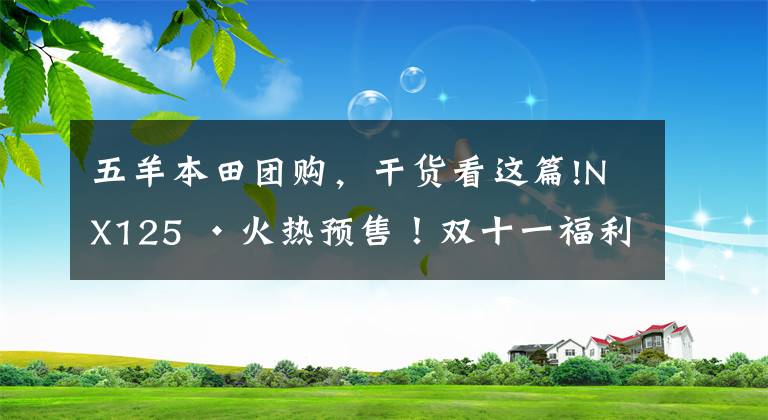 五羊本田团购，干货看这篇!NX125 ·火热预售！双十一福利半价秒、大额神劵，9折抢