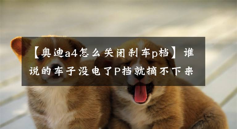 【奥迪a4怎么关闭刹车p档】谁说的车子没电了P挡就摘不下来