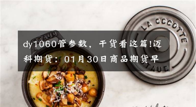 dy1060管参数，干货看这篇!迈科期货：01月30日商品期货早评