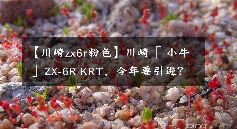 【川崎zx6r粉色】川崎「 小牛 」ZX-6R KRT，今年要引进？