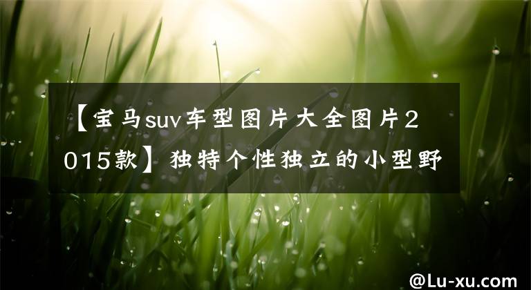 【宝马suv车型图片大全图片2015款】独特个性独立的小型野马，2015年款宝马3系GT