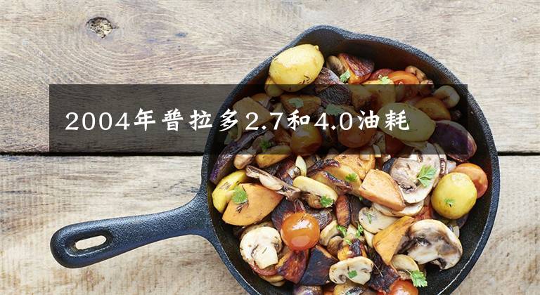 2004年普拉多2.7和4.0油耗