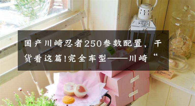 国产川崎忍者250参数配置，干货看这篇!完全车型——川崎“小忍者”你都看清了吗？