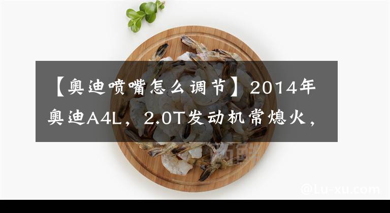 【奥迪喷嘴怎么调节】2014年奥迪A4L，2.0T发动机常熄火，类似缺缸抖动，废气浓故障