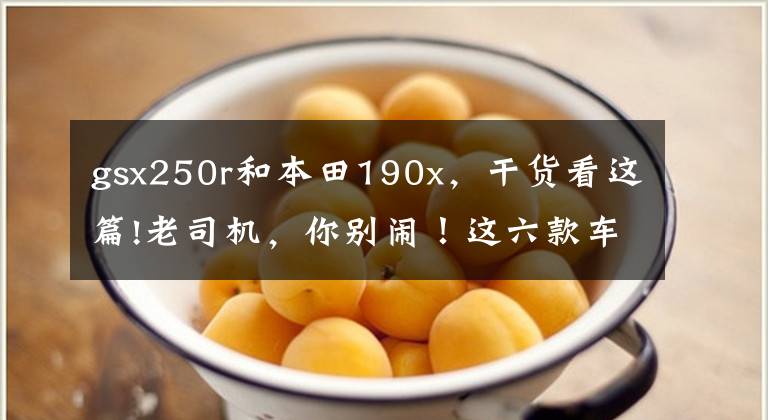 gsx250r和本田190x，干货看这篇!老司机，你别闹！这六款车也适合女性