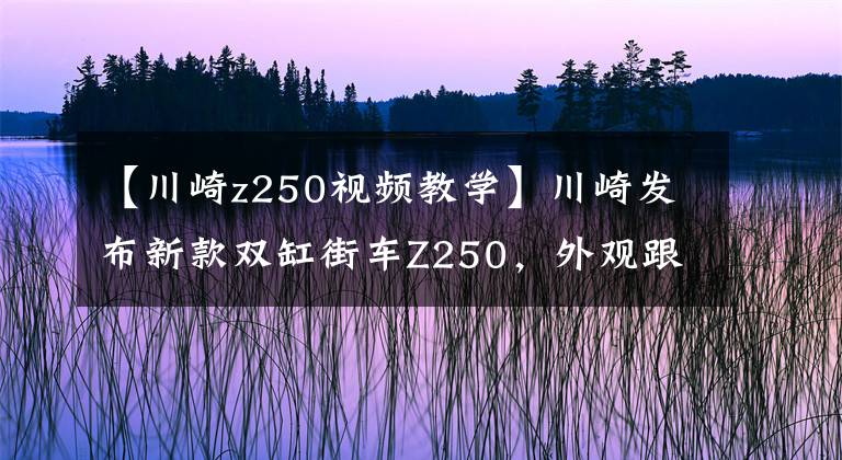 【川崎z250视频教学】川崎发布新款双缸街车Z250，外观跟Z400一模一样
