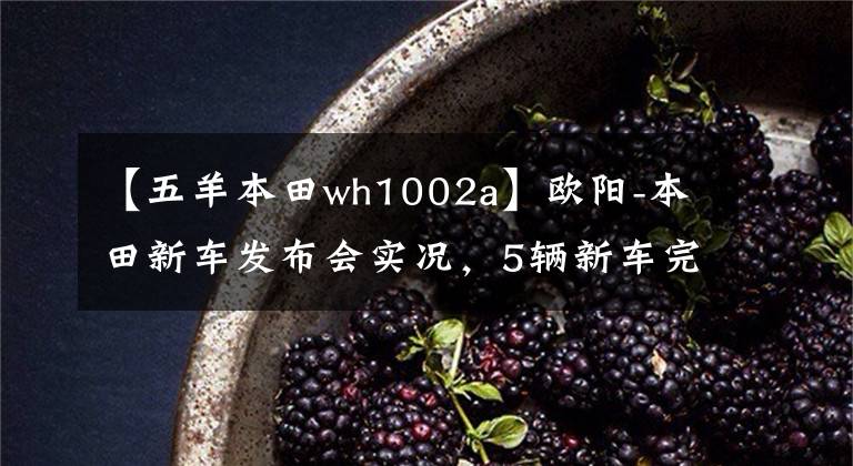 【五羊本田wh1002a】欧阳-本田新车发布会实况，5辆新车完整介绍！