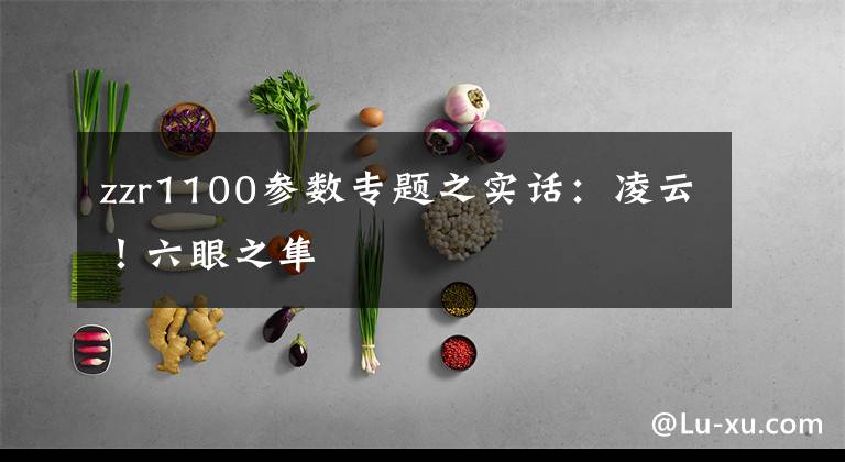 zzr1100参数专题之实话：凌云！六眼之隼