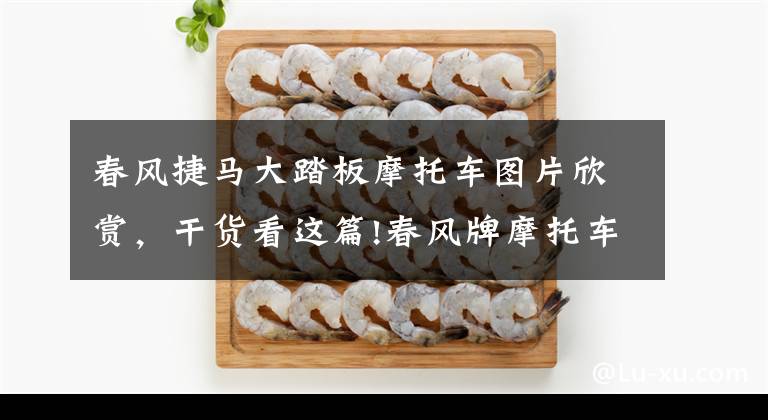 春风捷马大踏板摩托车图片欣赏，干货看这篇!春风牌摩托车的前景如何？它有哪些优缺点？老骑士来给你答案