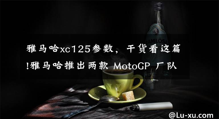 雅马哈xc125参数，干货看这篇!雅马哈推出两款 MotoGP 厂队图案的本土版踏板