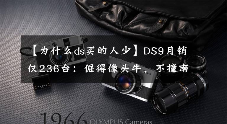 【为什么ds买的人少】DS9月销仅236台：倔得像头牛，不撞南墙不回头