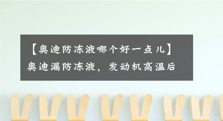 【奥迪防冻液哪个好一点儿】奥迪漏防冻液，发动机高温后憋坏大水箱！