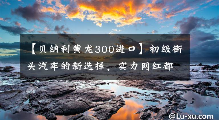 【贝纳利黄龙300进口】初级街头汽车的新选择，实力网红都是硬食品