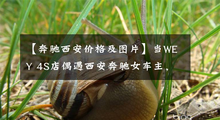 【奔驰西安价格及图片】当WEY 4S店偶遇西安奔驰女车主，VV7能不能讨其欢心？