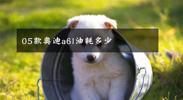 05款奥迪a6l油耗多少