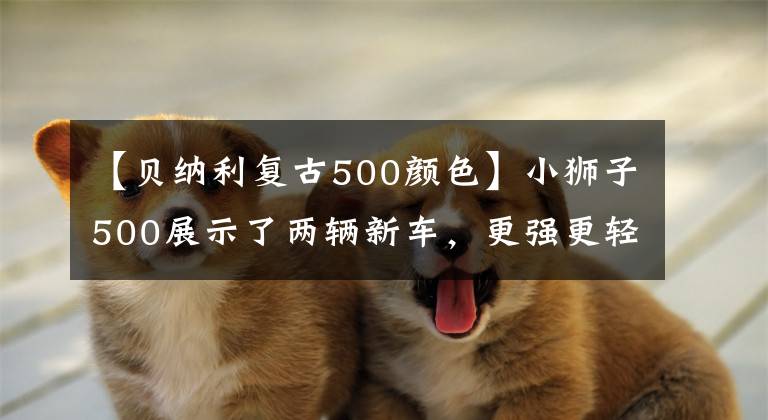 【贝纳利复古500颜色】小狮子500展示了两辆新车，更强更轻的运动版和专属配色纪念版