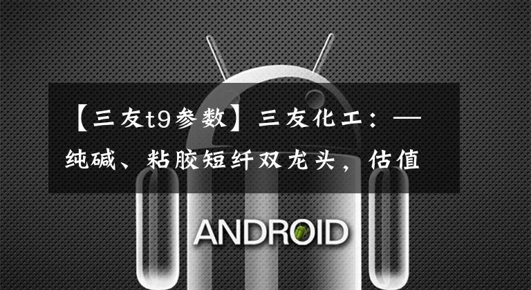 【三友t9参数】三友化工：—纯碱、粘胶短纤双龙头，估值底部显现