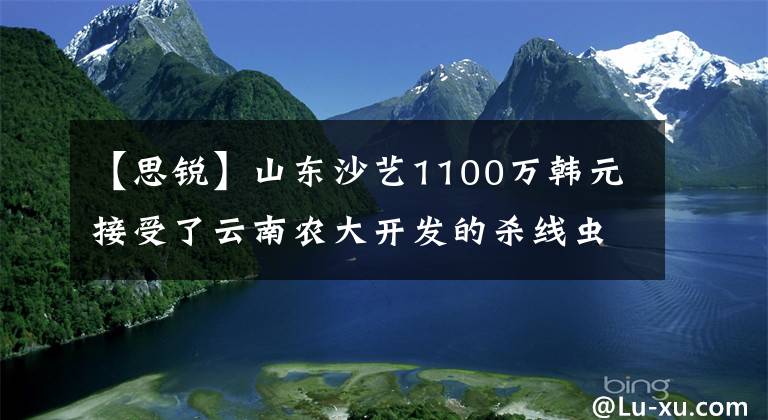 【思锐】山东沙艺1100万韩元接受了云南农大开发的杀线虫孢子菌B16毛药及制剂。