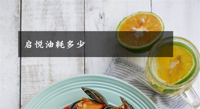 启悦油耗多少
