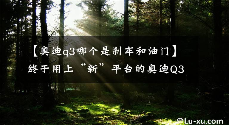 【奥迪q3哪个是刹车和油门】终于用上“新”平台的奥迪Q3，并不是真的“没区别”
