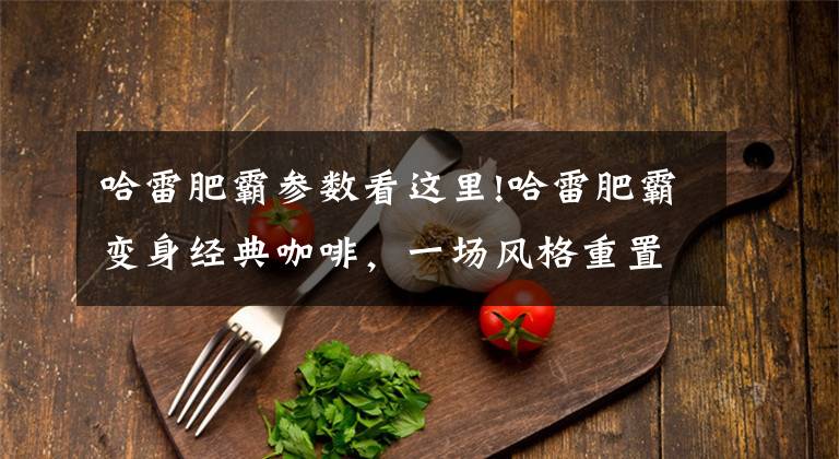哈雷肥霸参数看这里!哈雷肥霸变身经典咖啡，一场风格重置的改装！