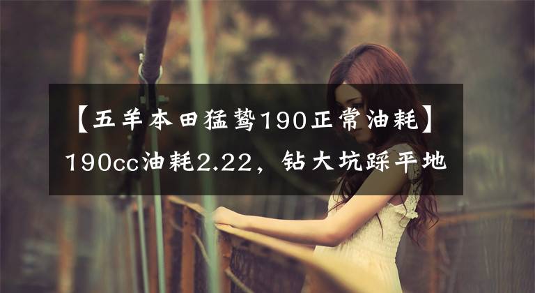 【五羊本田猛鸷190正常油耗】190cc油耗2.22，钻大坑踩平地面。