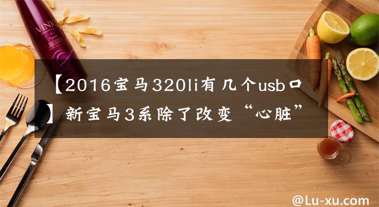 【2016宝马320li有几个usb口】新宝马3系除了改变“心脏”外，还有那些变化吗？
