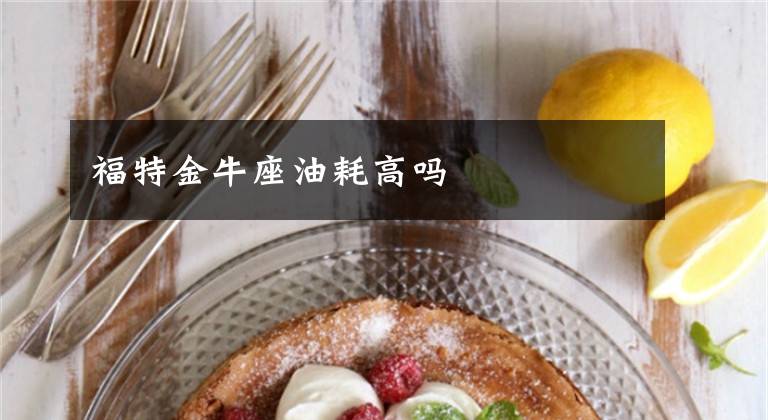 福特金牛座油耗高吗