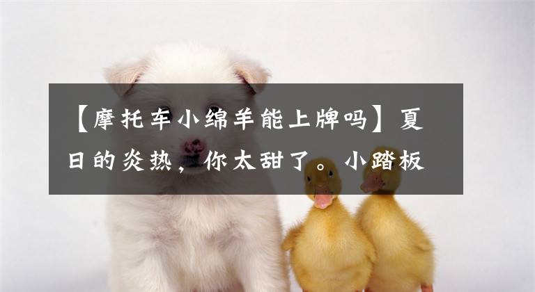 【摩托车小绵羊能上牌吗】夏日的炎热，你太甜了。小踏板卡旅行，你学废了吗？